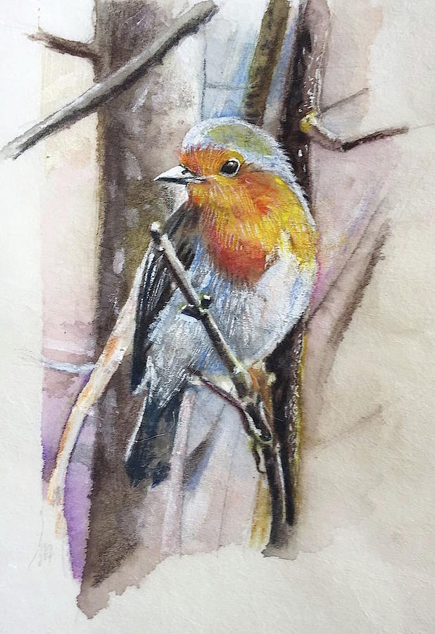 Bird on a tree Drawing by Carolina Prieto Moreno