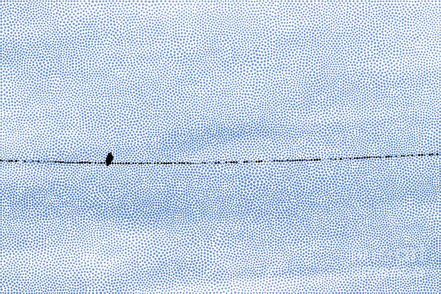 Bird On A Wire In Dots Photograph by Kimberly Furey
