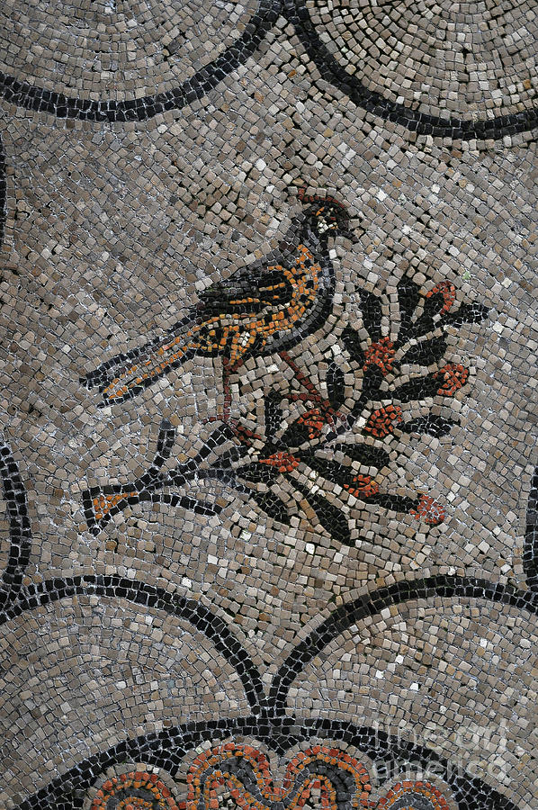 Bird On Branch Symbolises Blessed In Paradise, Paleochristian Mosaic ...