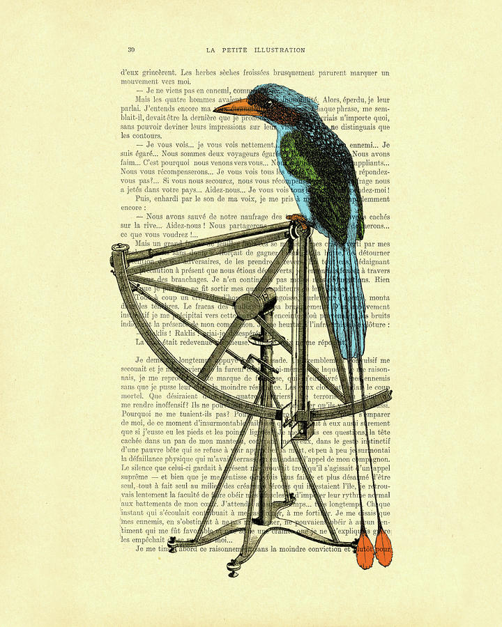 Paradise Digital Art - Bird on quadrant by Madame Memento