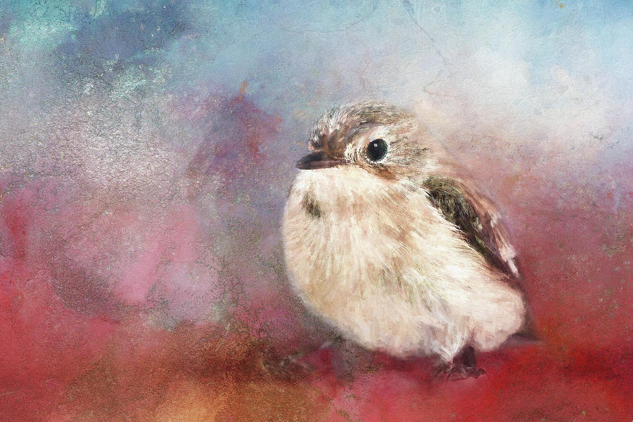 Bird on Red Texture Digital Art by Terry Davis