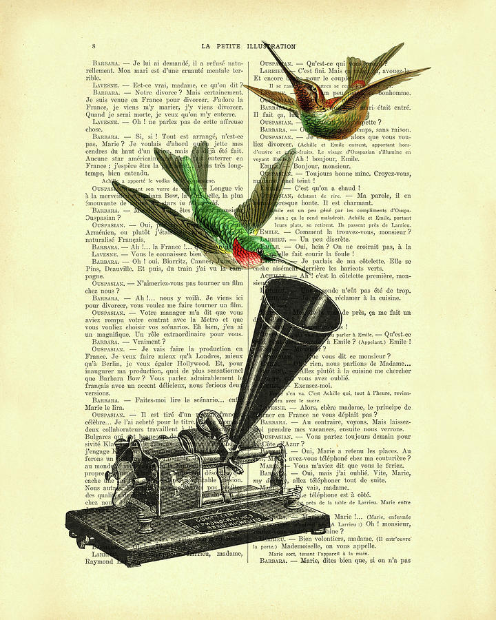 Bird Mixed Media - Bird Phonograph by Madame Memento
