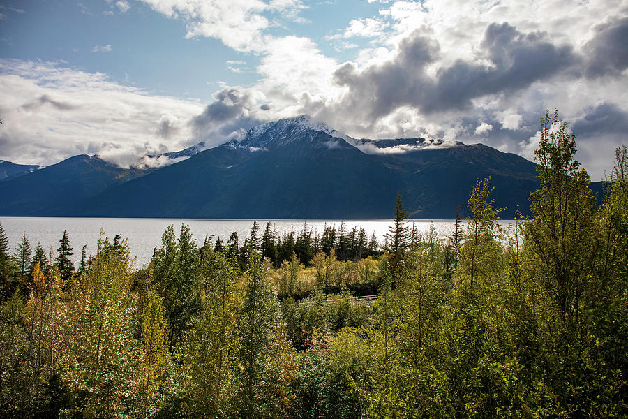 Bird Point Turnagain Arm Alaska Photograph by Dan Sproul - Fine Art America