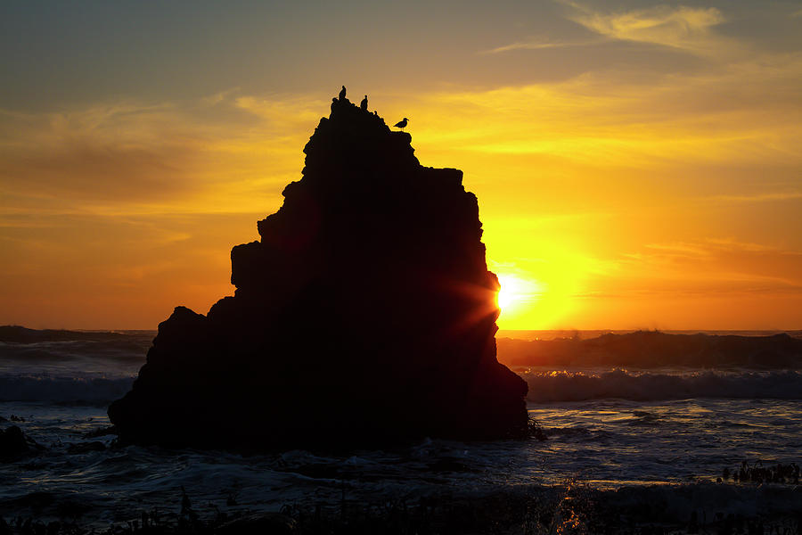 Bird Rock Sunset Photograph by Garry Gay