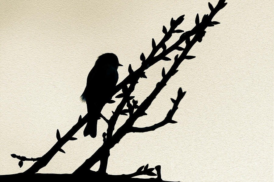Bird Silhouette Digital Art by John Kirkland
