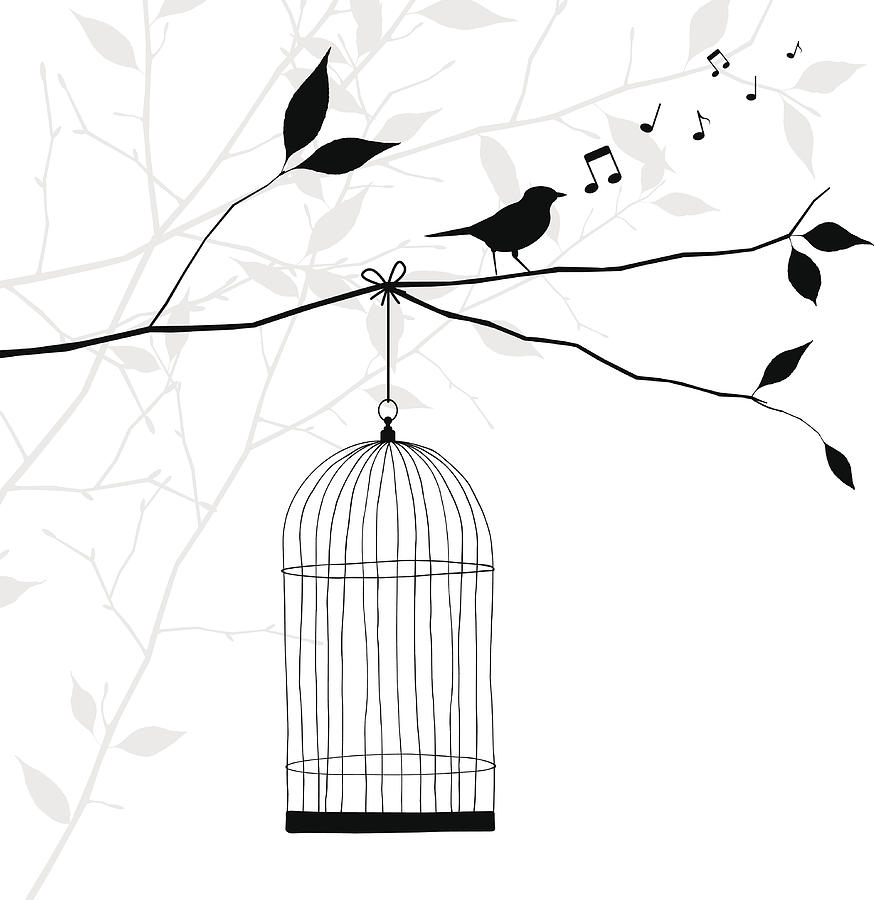 Bird Singing On Tree Branch - Freedom Concept Drawing by Mysondanube