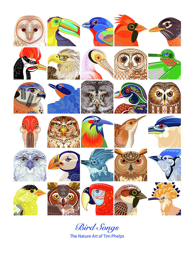 Bird Digital Art - Bird Songs by Tim Phelps