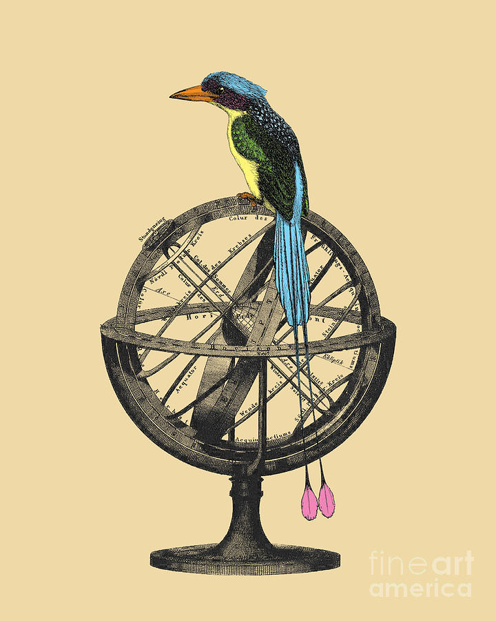 Bird Digital Art - Bird With Armillary Sphere by Madame Memento