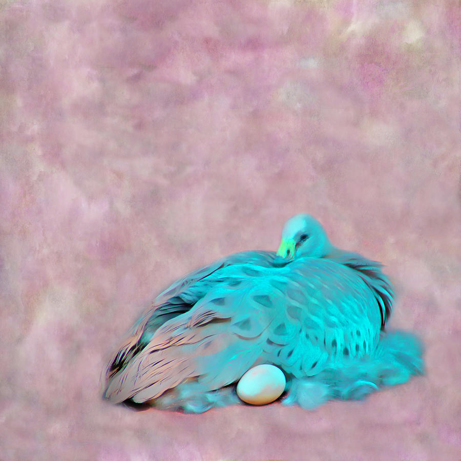 Bird With Egg Textured Photograph