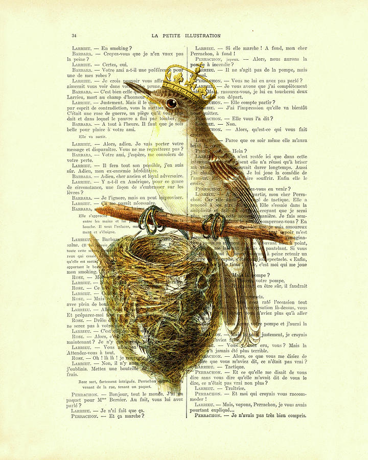 Queen Digital Art - Bird with golden crown and birds nest art by Madame Memento