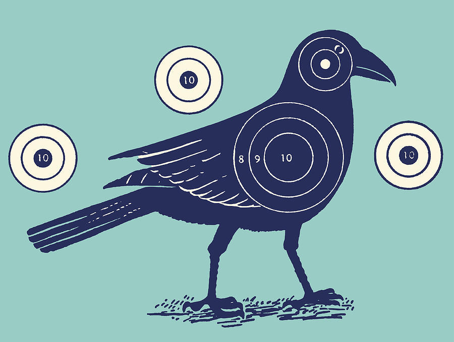 Bird With Shooting Targets Drawing by CSA-Archive
