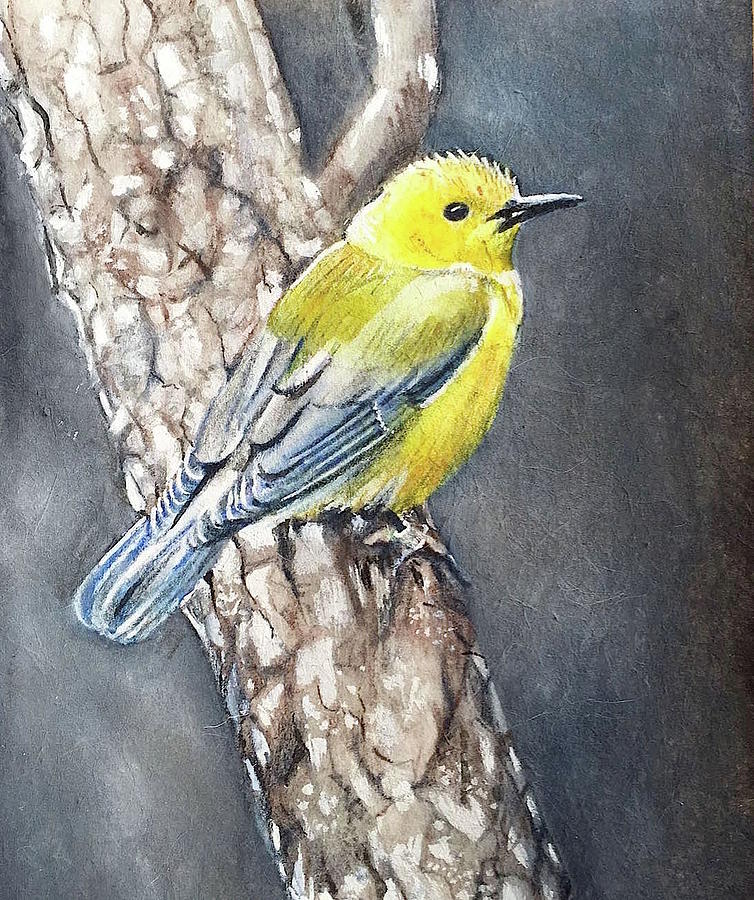 Bird with yellow head Painting by Carolina Prieto Moreno