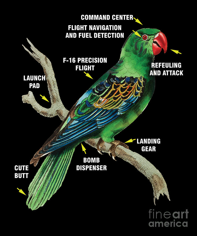 Bird Digital Art - Birders Parrot Birdwatching Parrot Lover Gift Parrot Anatomy by Thomas Larch