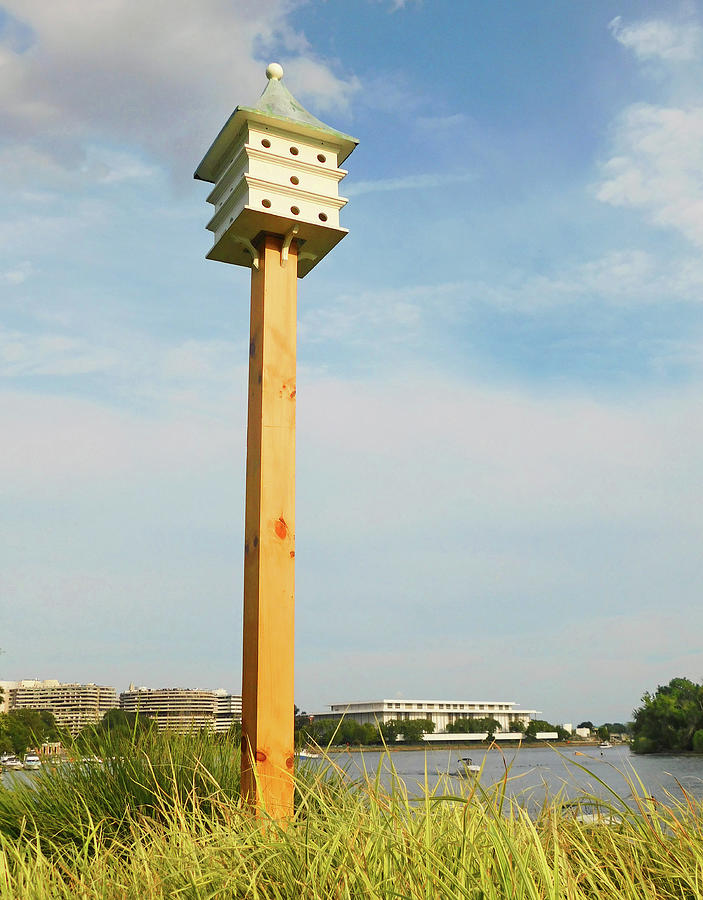 Birdhouse Georgetown Harbor DC Photograph by Emmy Marie Vickers