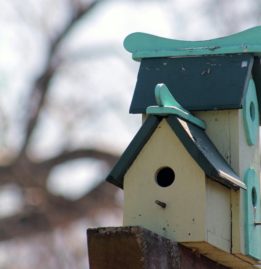 Birdhouse in Blue Photograph by Lois Tomaszewski