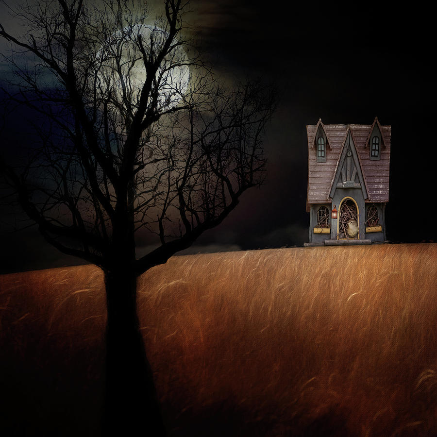 Birdhouse in Moonlight Photograph by Deborah Penland