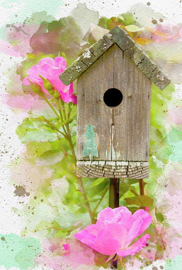 Birdhouse Digital Art by Lena Auxier