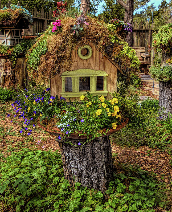Birdhouse on a Stump Photograph by Floyd Snyder
