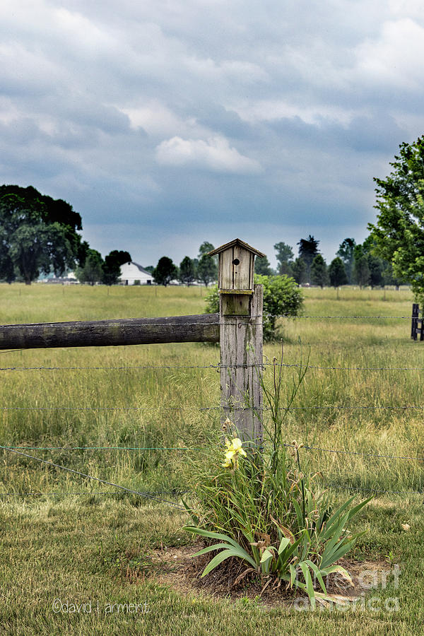 Birdhouse on Fence Post Photograph by David Arment