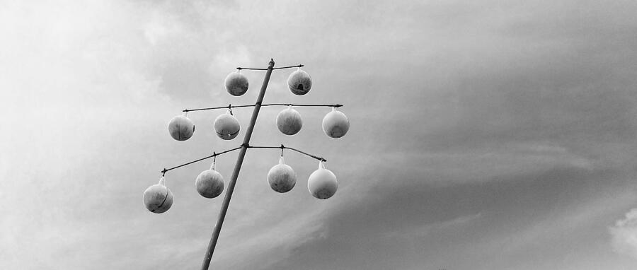 Birdhouses Photograph by Brandon Strellis Birdhouses Photograph by Brandon Strellis