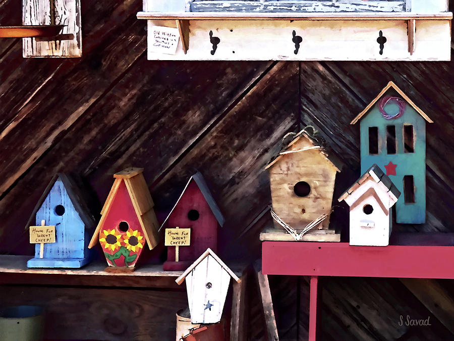 Birdhouses for Sale Photograph by Susan Savad