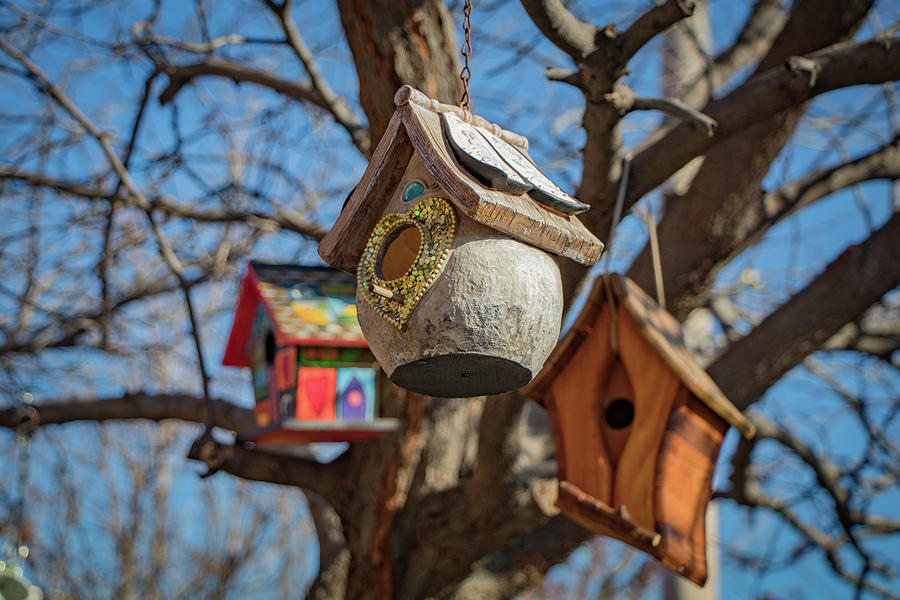 Birdhouses Photograph by Gerri Bigler
