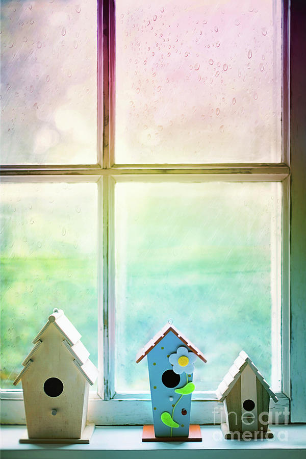 Birdhouses on window sill Photograph by Sandra Cunningham