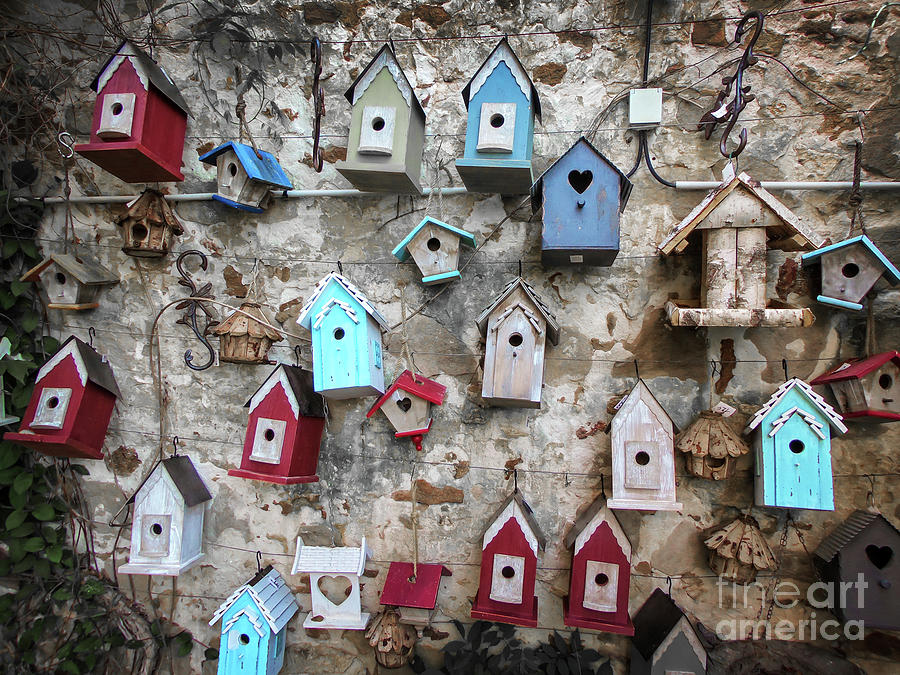Birdhouses village Photograph by Delphimages Photo Creations