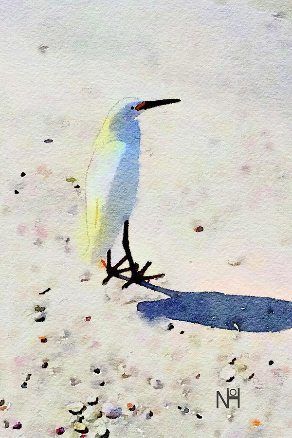 Birdie Bird Digital Art by Nancy Olivia Hoffmann
