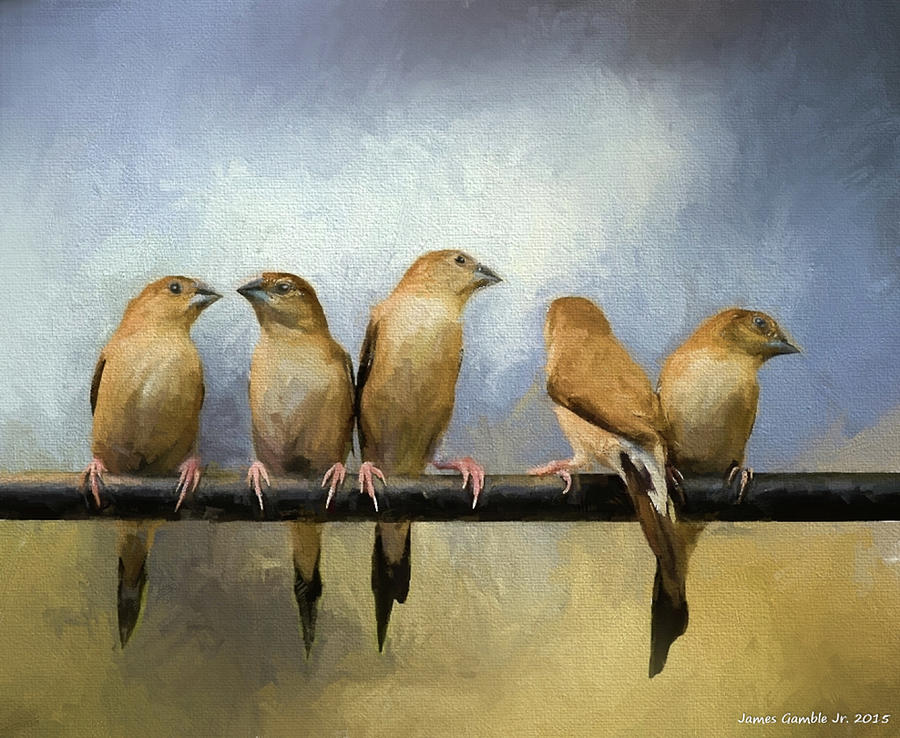 Birdies on a Perch Photograph by James Gamble Birdies on a Perch Photograph by James Gamble