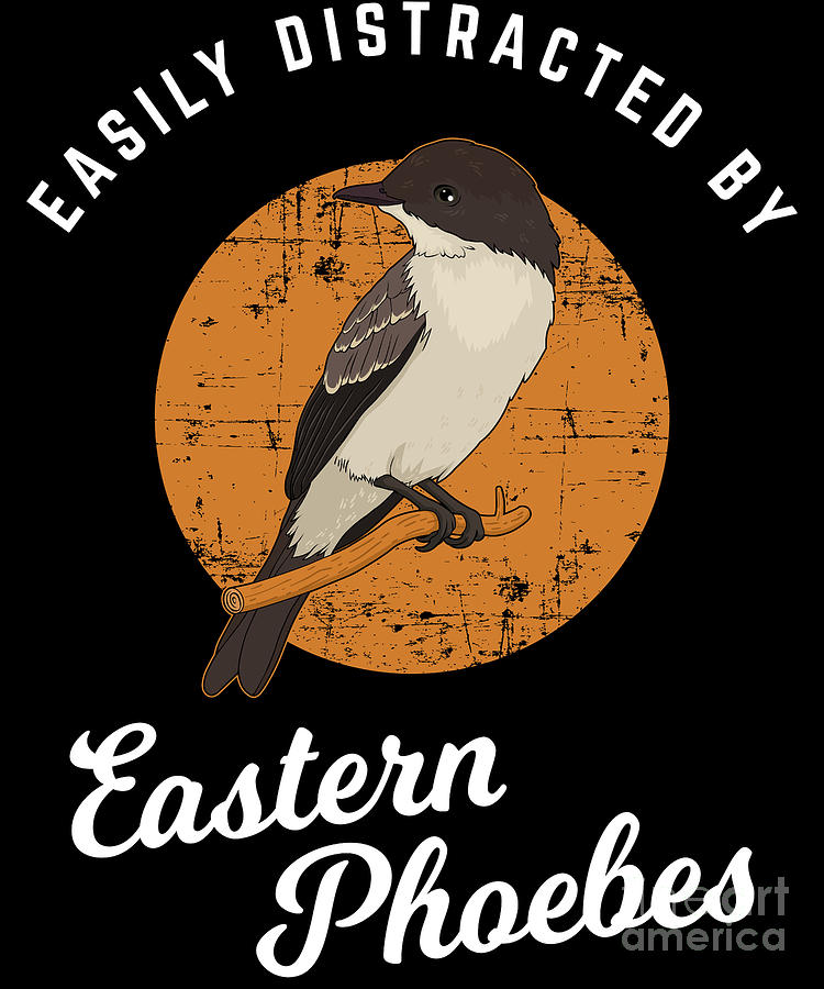 Birding Birdwatching Easily Distracted By Eastern Phoebes Graphic Digital Art By Jacob Hughes