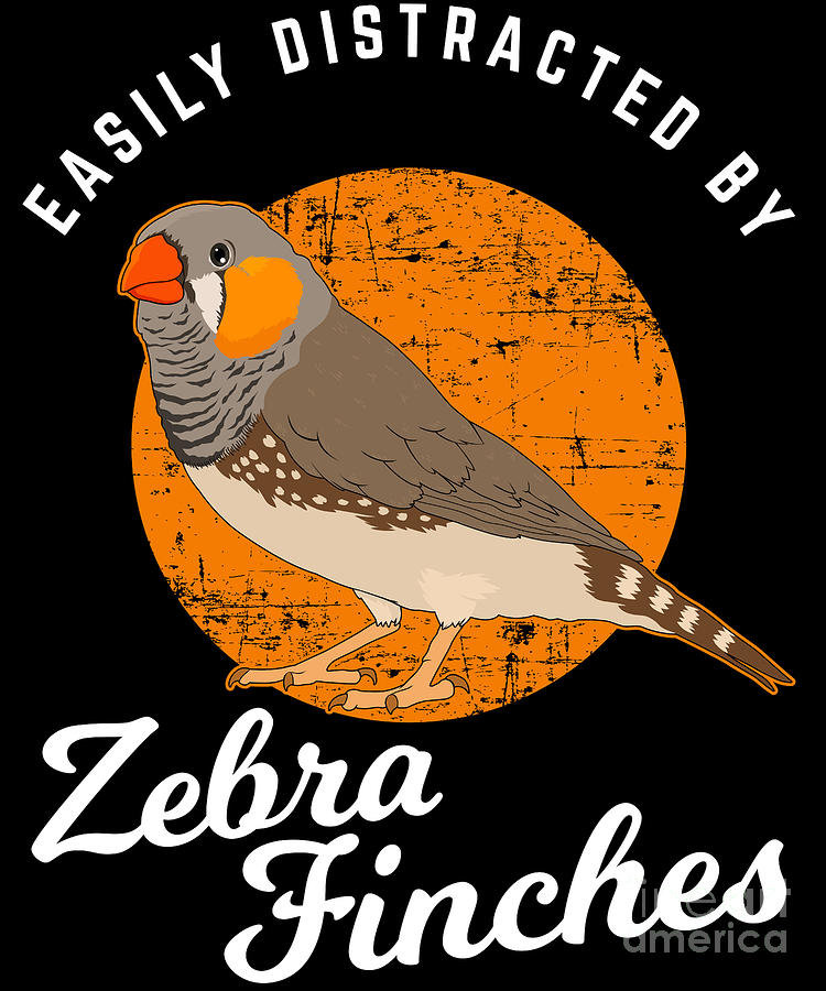 Birding Birdwatching Easily Distracted By Zebra Finches Graphic Digital Art By Jacob Hughes