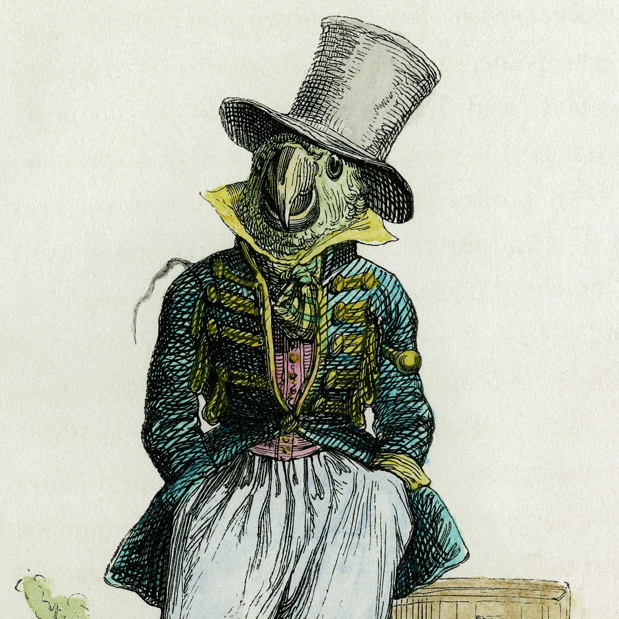 Birdman in top hat and military coat, drawn by French satirist in 1800s ...