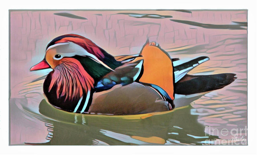 BIRDS A beautiful Mandarin Drake Digital Art by Art MacKay