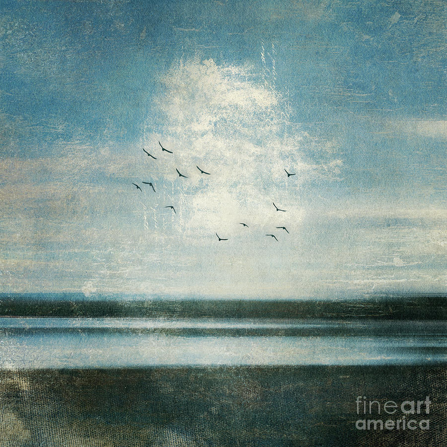 Birds and a cloud Photograph by Priska Wettstein