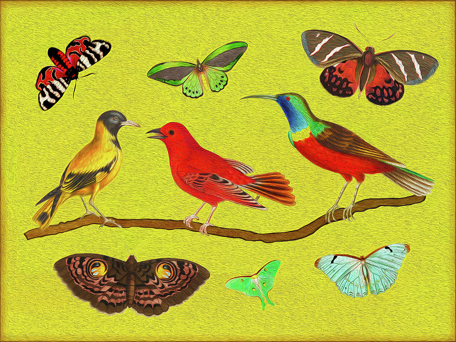Birds and Butterfies Mixed Media by Lorena Cassady