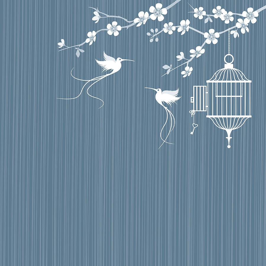 Birds and cage with cherry blossoms Drawing by Smt3
