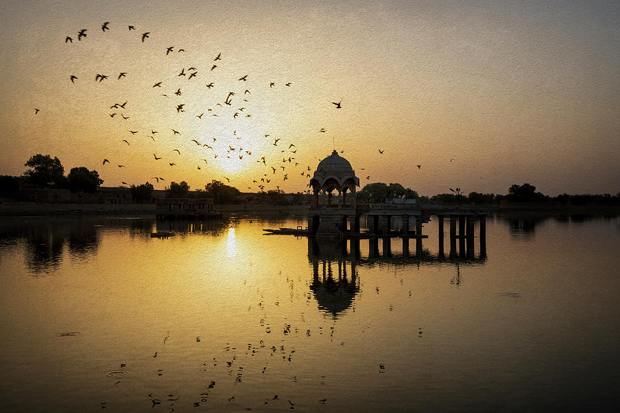 Birds And Reflections At Gadisar Lake Photograph By Bhaven Jani - Fine ...