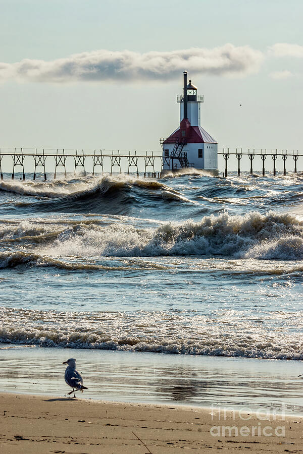 Birds And Waves At St Joseph Lighthouse Photograph by Jennifer White