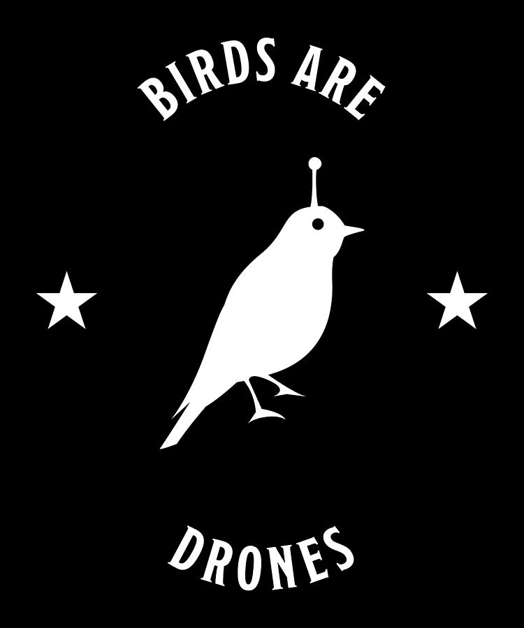 Birds are a Drones Funny Bird Conspiracy Digital Art by Qwerty Designs ...