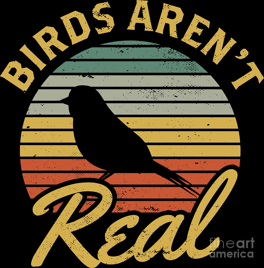 Birds Arent Real Conspiracy Bird Watching Retro Gift Digital Art by Haselshirt