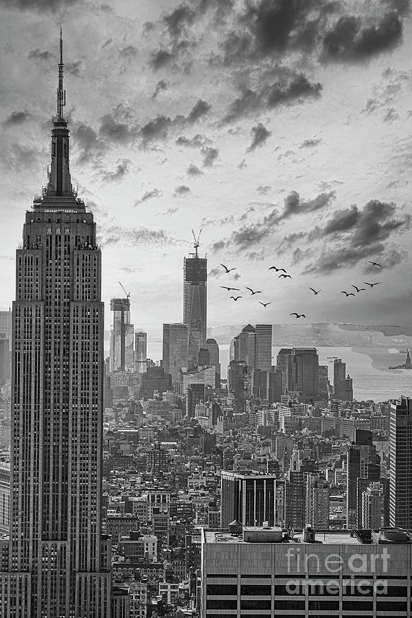 Birds Empire State Building NY BW Photograph by Chuck Kuhn