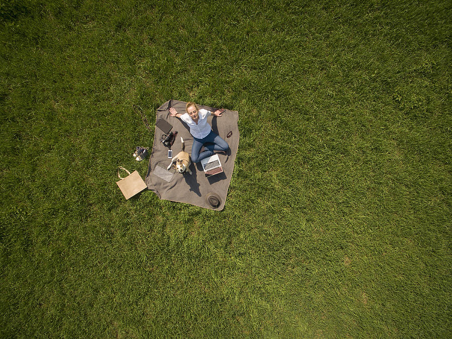 Birds eye view of woman sitting on blanket on meadow with dog and laptop Photograph by Westend61