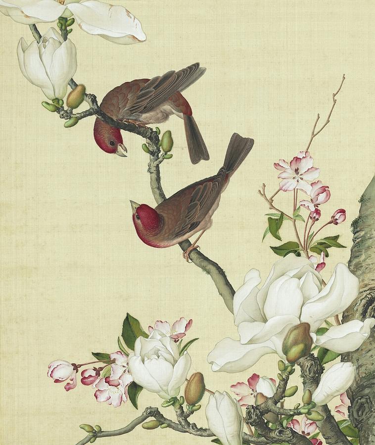 Birds, flowering crab apple and white magnolia blossom - Chinese flower paintings Painting by Giuseppe Castiglione Lang Shining