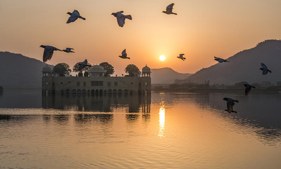 Birds flying over Jal Mahal Palace at sunrise, Jaipur, Rajasthan, India Photograph by Zanariahsalam