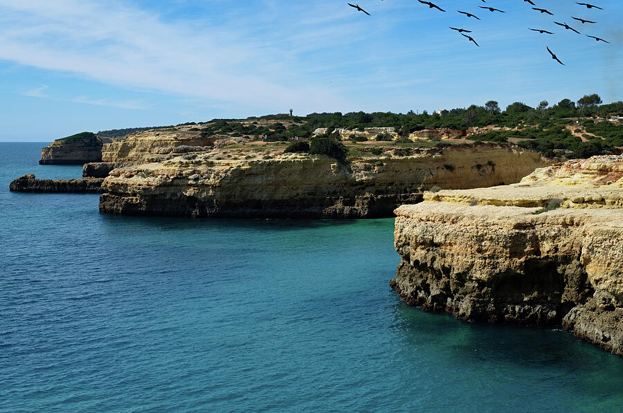 Birds flying over the cliffs in Albandeira Photograph by Angelo DeVal