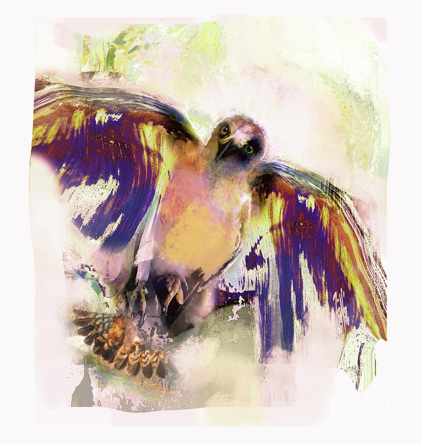 Birds Golden Eagle Mixed Media by Zsanan Studio