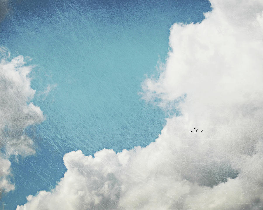 Birds In a Big Sky Photograph by Lupen Grainne