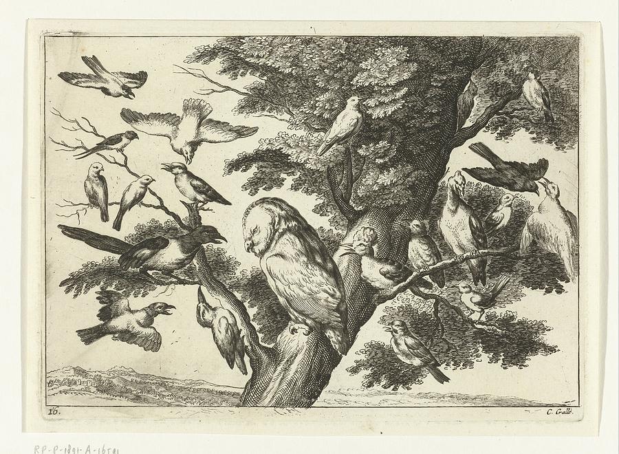 Birds in a Tree, Peter van Liesebetten, after Wenceslaus Hollar, after Francis Barlow, Painting by MotionAge Designs