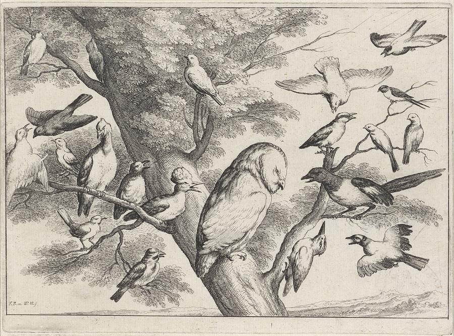 Birds in a Tree, Wenceslaus Hollar, after Francis Barlow, 1654 Painting by MotionAge Designs
